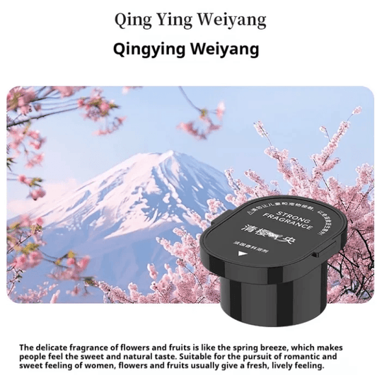 Car Aromatherapy Sprayer by Pampering Heaven