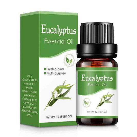 Eucalyptus Essential Oil 10ml bottle with green box, perfect for aromatherapy car air freshener.