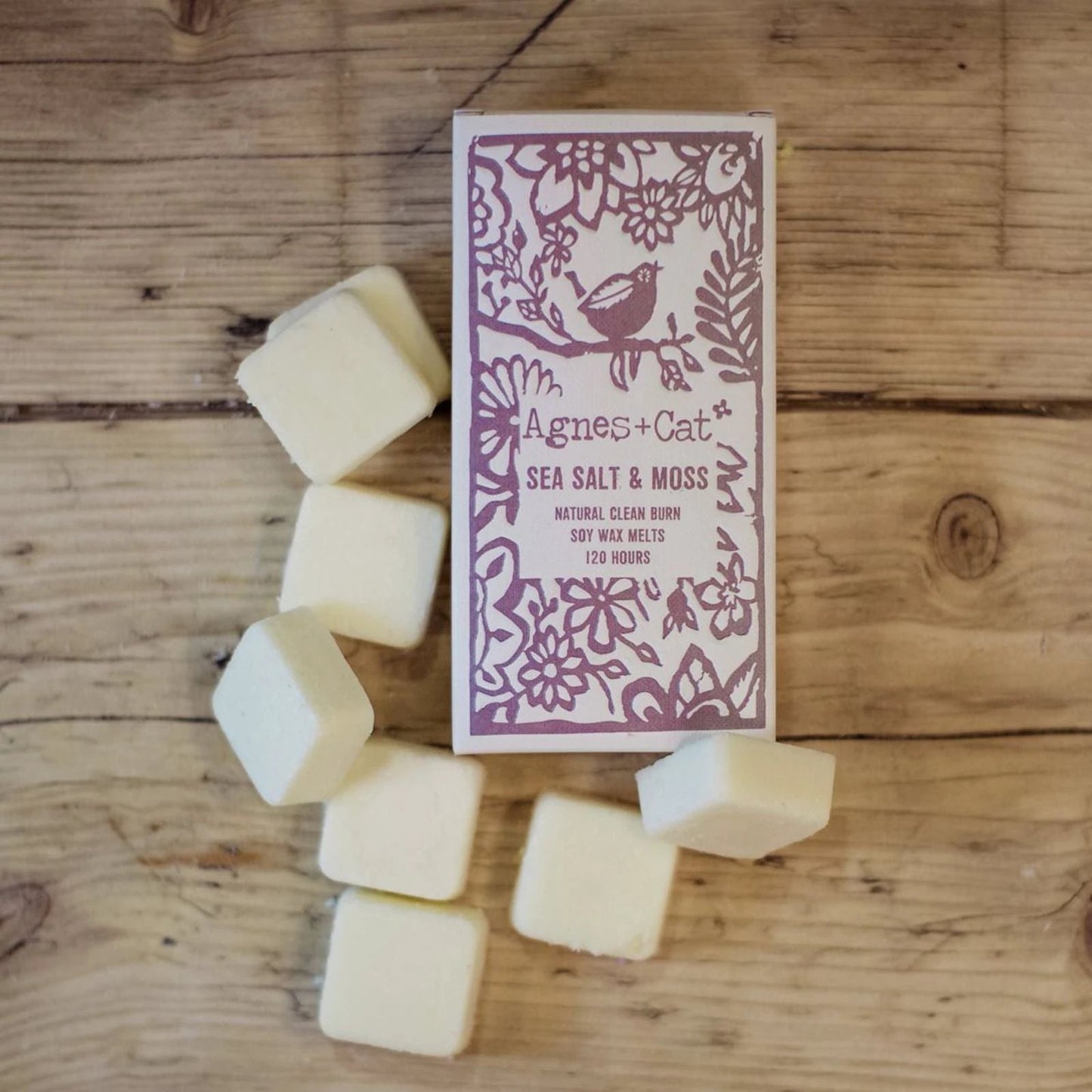 Agnes + Cat Box of 8 Wax Melts - Seasalt + Moss by AW Dropship UK