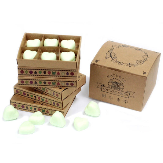 Box of 6 Wax Melts - Watermelon Fresh by AW Dropship UK