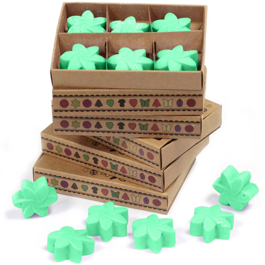 Box of 6 Wax Melts - Hidden Garden by AW Dropship UK