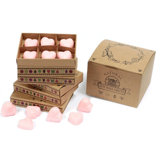 Box of 6 Wax Melts - Dragon's Blood by AW Dropship UK