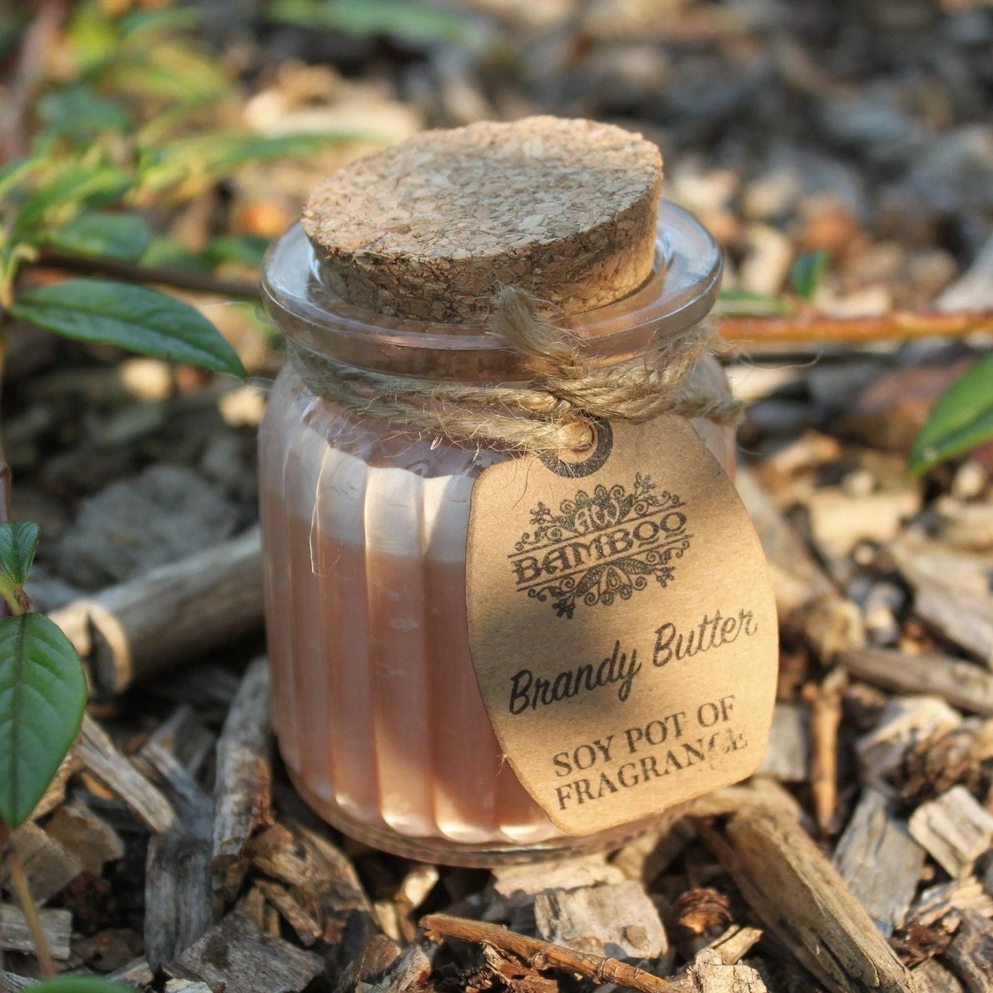 Brandy Butter Soy Pot of Fragrance Candles by AW Dropship UK