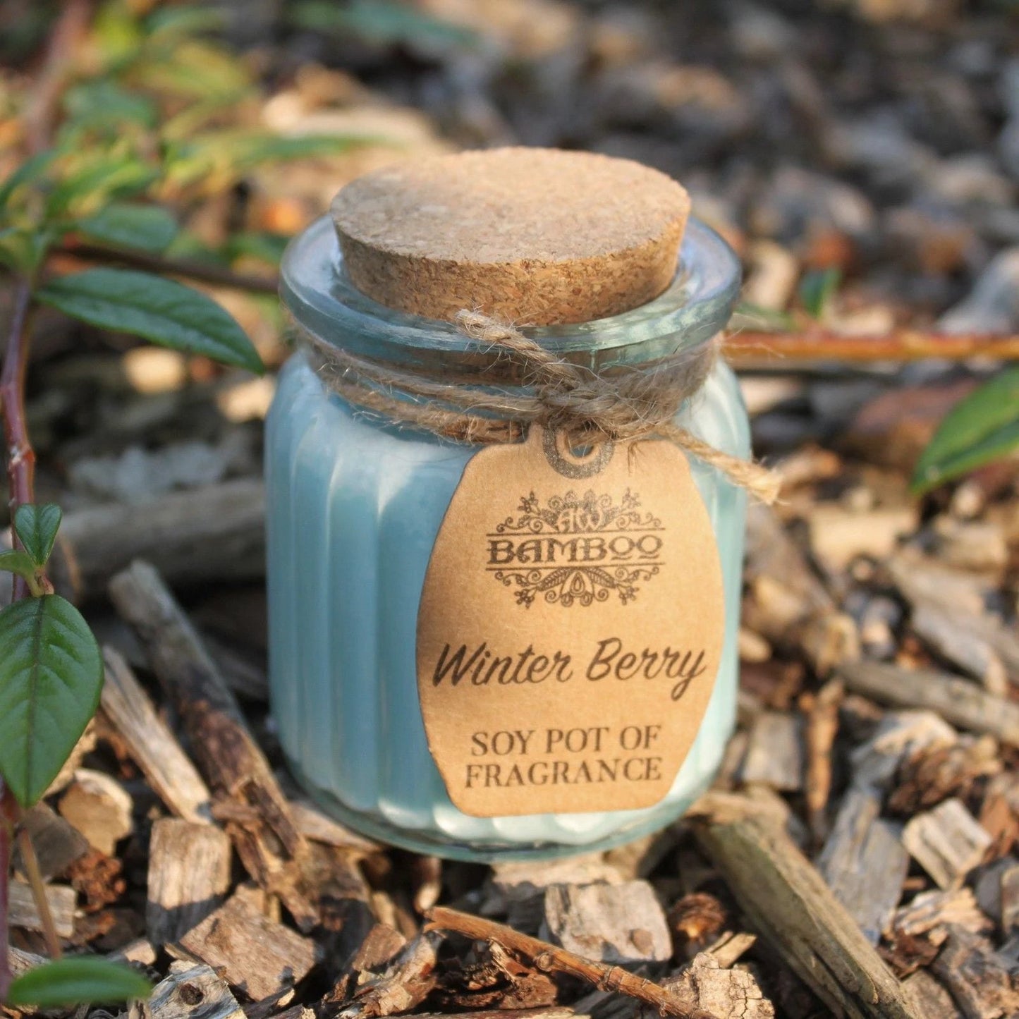 Winter Berry Soy Pot of Fragrance Candles by AW Dropship UK