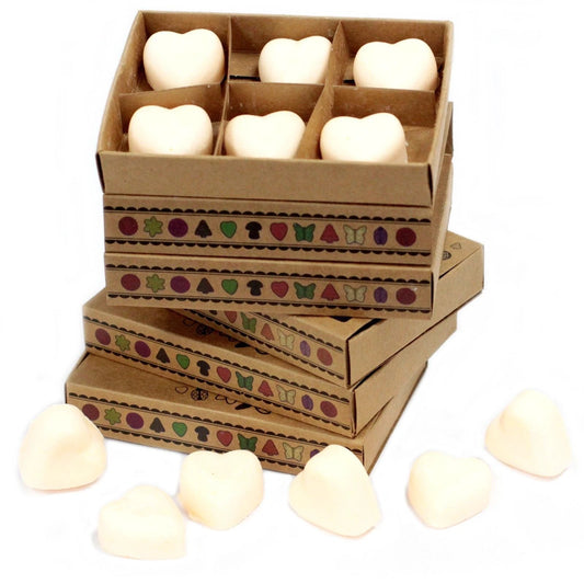 Box of 6 Wax Melts - Cinnamon & Orange by AW Dropship UK