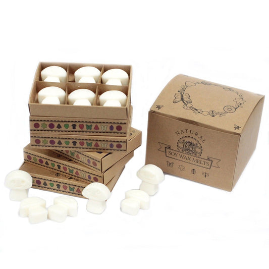 Box of 6 Wax Melts - White Musk by AW Dropship UK