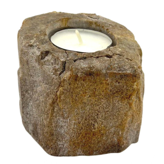 Petrified Wood Candle Holder - Single Low by AW Dropship UK