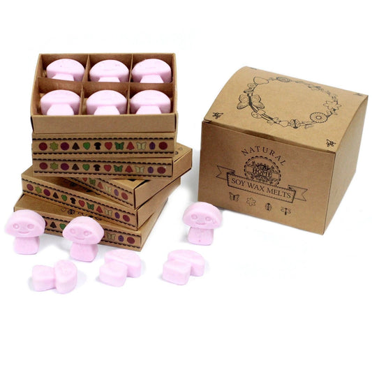 Box of 6 Wax Melts - Ylang Ylang by AW Dropship UK
