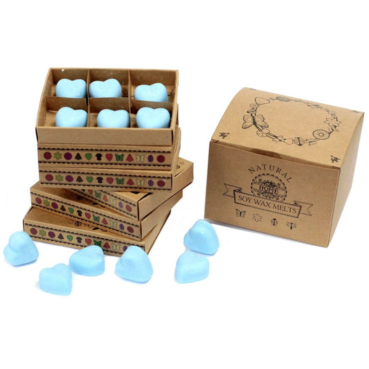 Box of 6 Wax Melts - Dewberry by AW Dropship UK