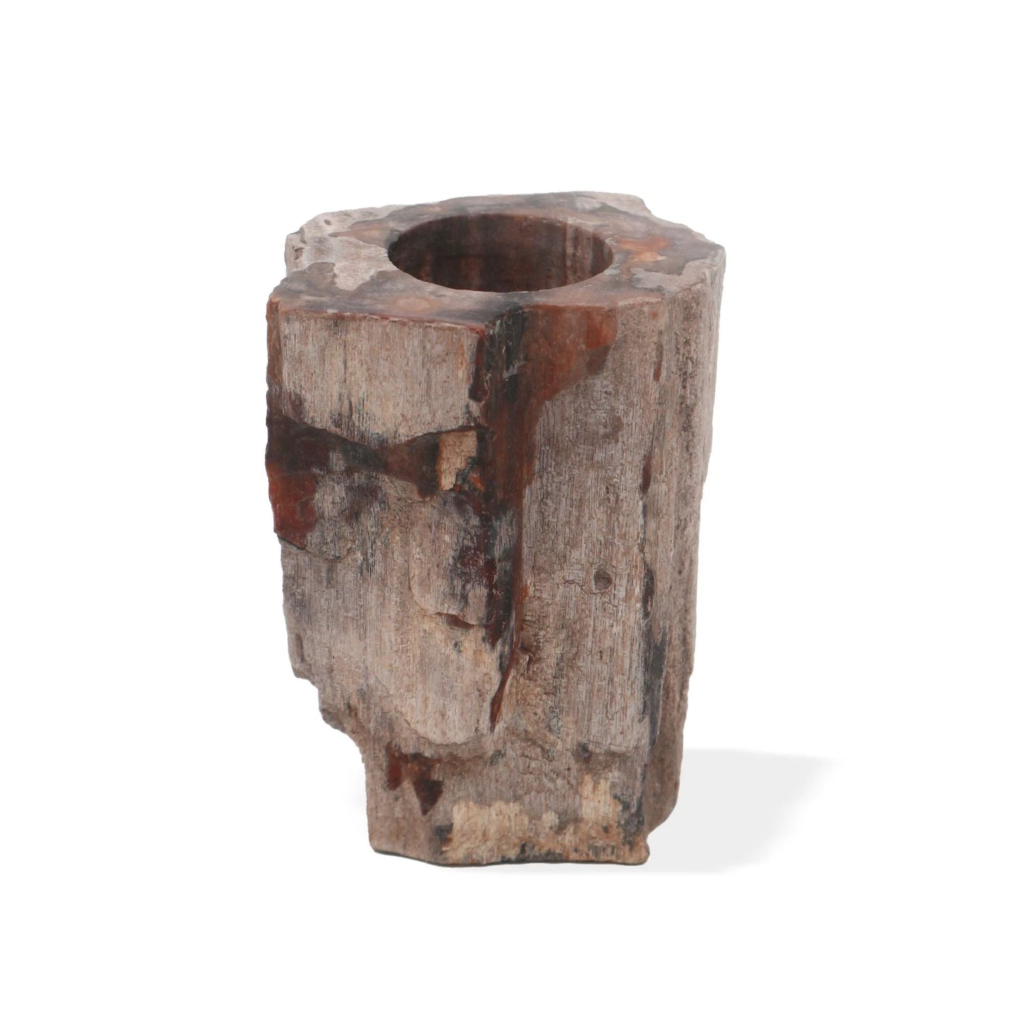 Petrified Wood Candle Holder - Single Tall by AW Dropship UK