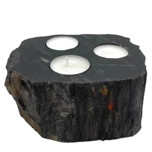 Petrified Wood Candle Holder - Triple by AW Dropship UK