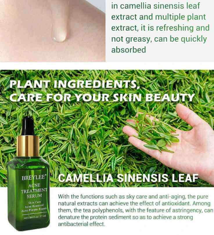 Skin Renewal Face Serum