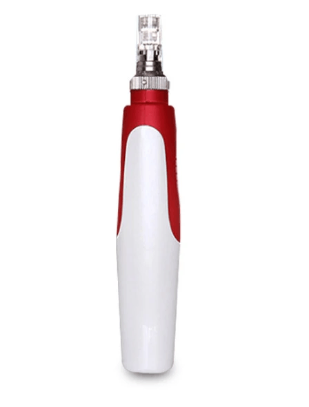 Dani Electric MicroNeedle Skin Enhancer by Pampering Heaven