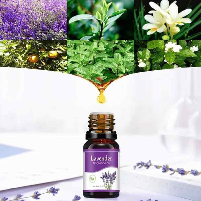 Car Air Freshener Aromatherapy Essential Oil