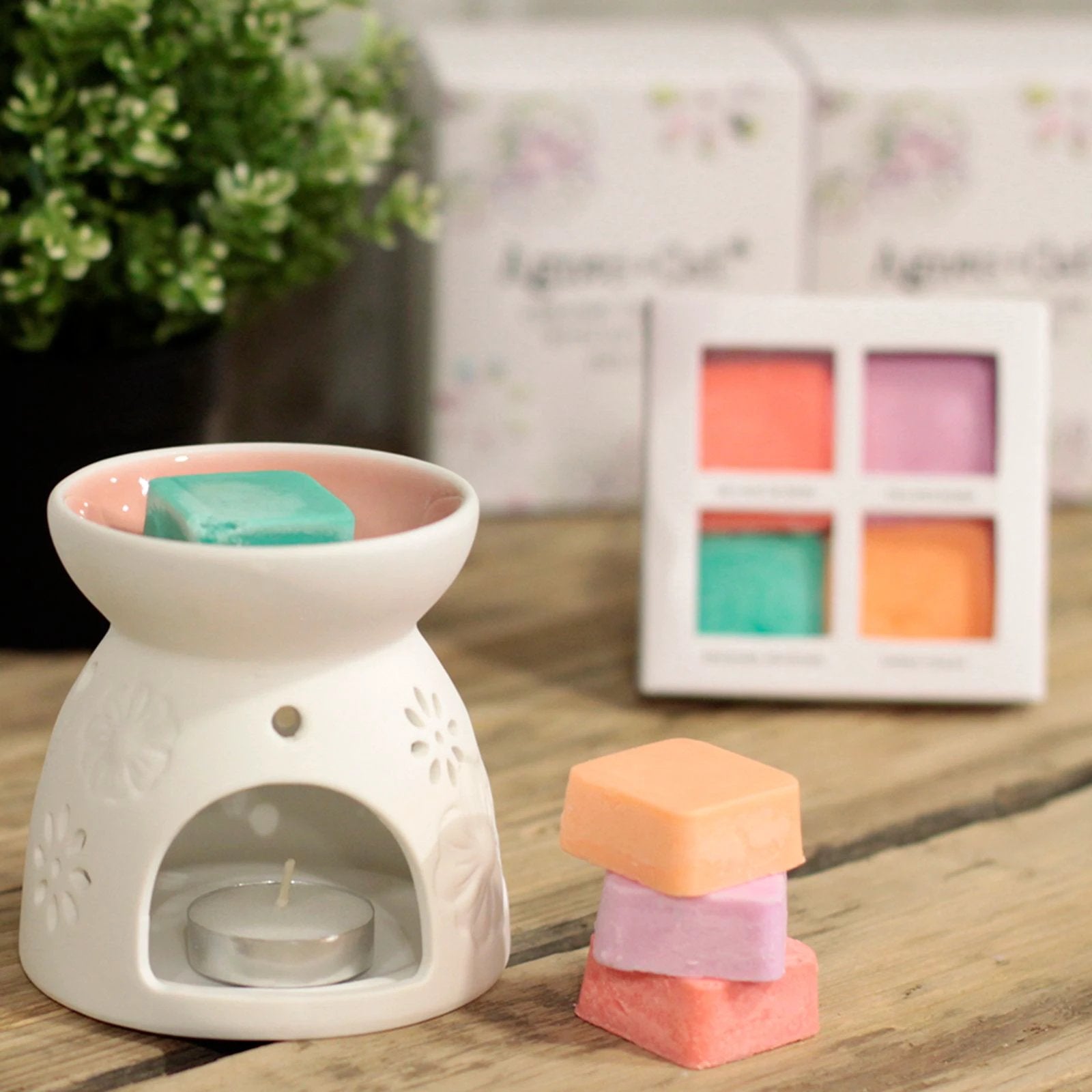Wax Melter with Four Soy Wax Melts by AW Dropship UK