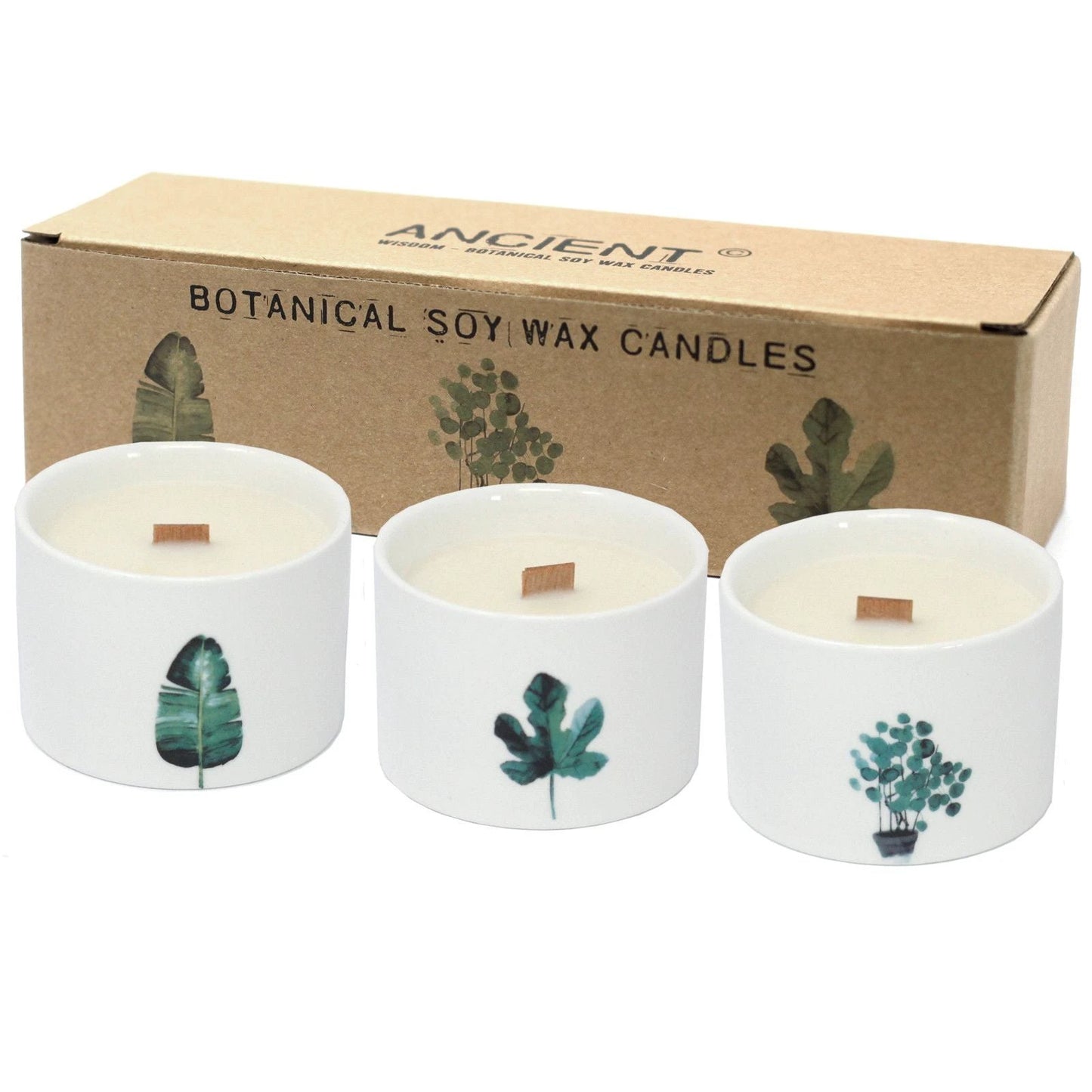 Med Botanical Candles - Lemon Honeysuckle by AW Dropship UK