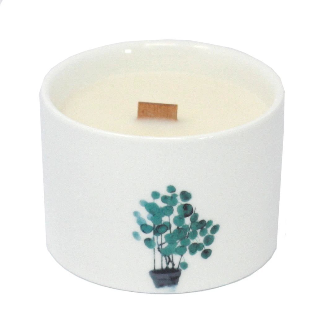 Med Botanical Candles - Lemon Honeysuckle by AW Dropship UK