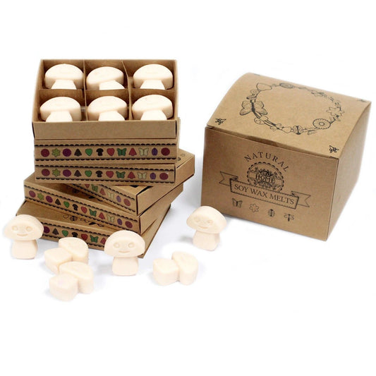 Box of 6 Wax Melts - Vanilla Nutmeg by AW Dropship UK