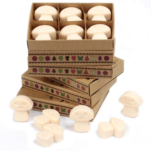 Box of 6 Wax Melts - Vanilla Nutmeg by AW Dropship UK