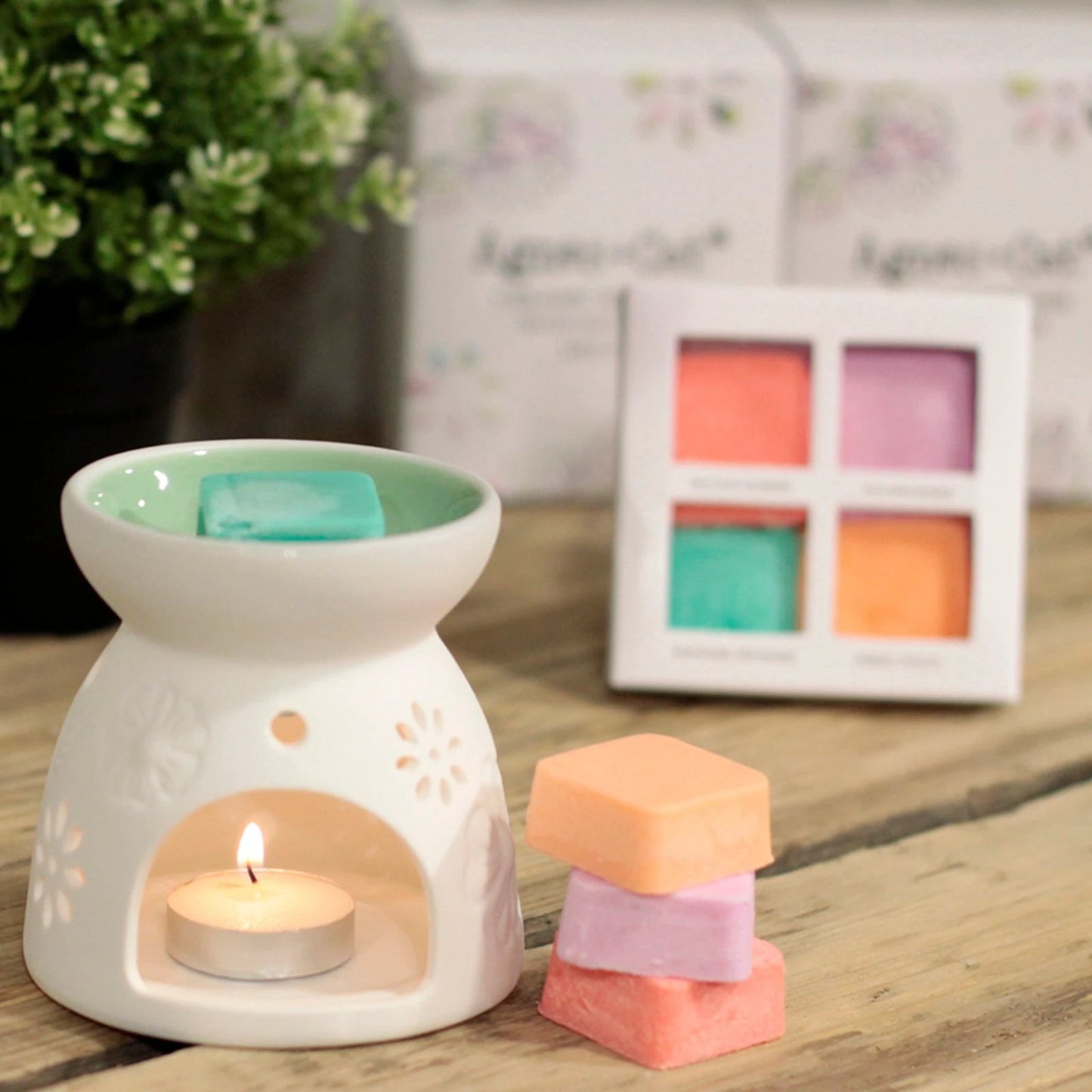 Wax Melter with Four Soy Wax Melts by AW Dropship UK