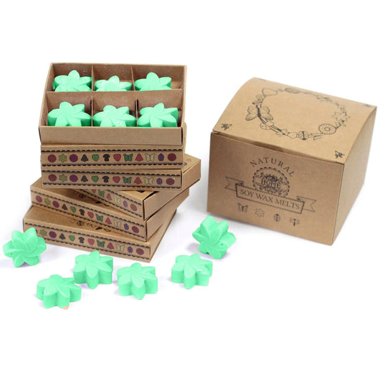 Box of 6 Wax Melts - Hidden Garden by AW Dropship UK