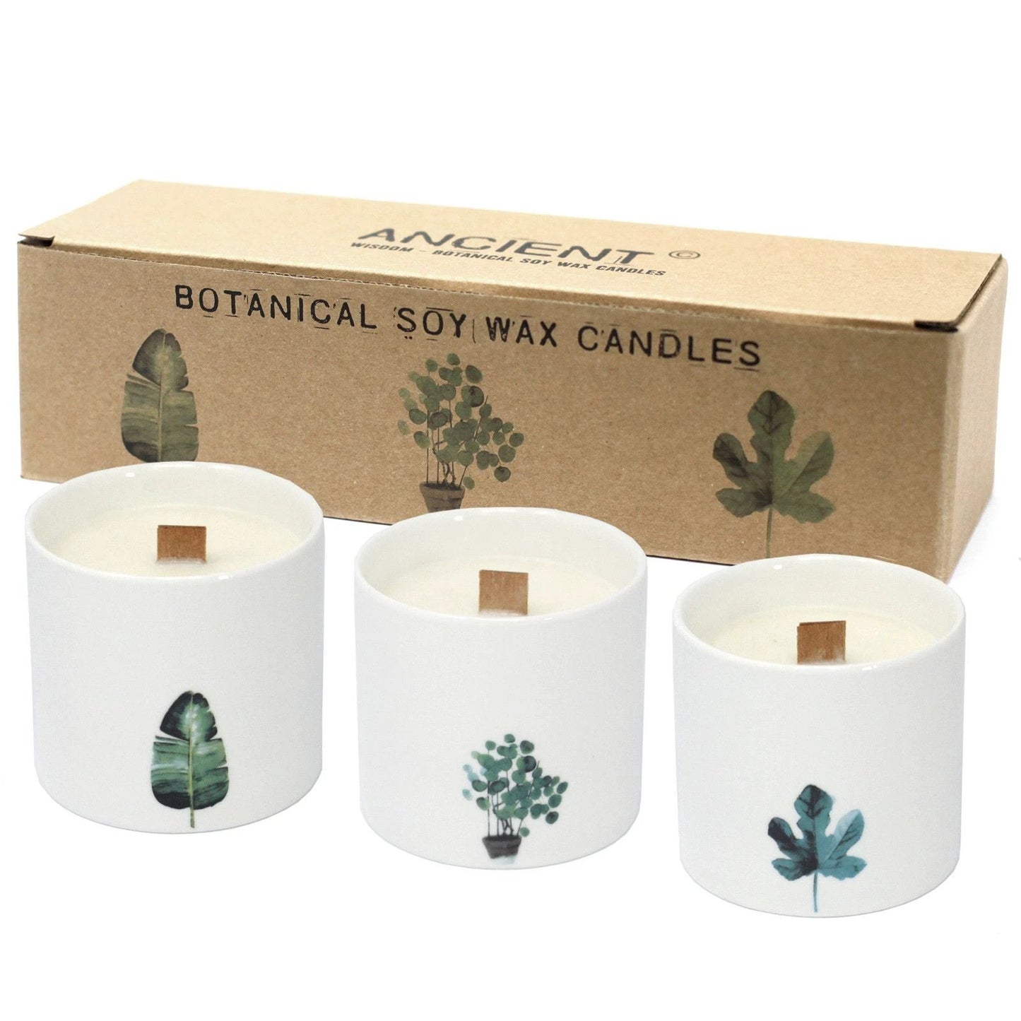 Large Botanical Candles - Marsh Viola by AW Dropship UK