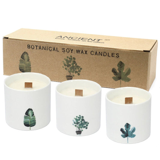 Large Botanical Candles - Marsh Viola by AW Dropship UK
