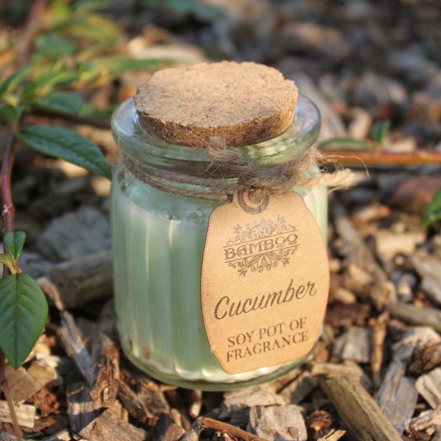 Cucumber Soy Pot of Fragrance Candles by AW Dropship UK