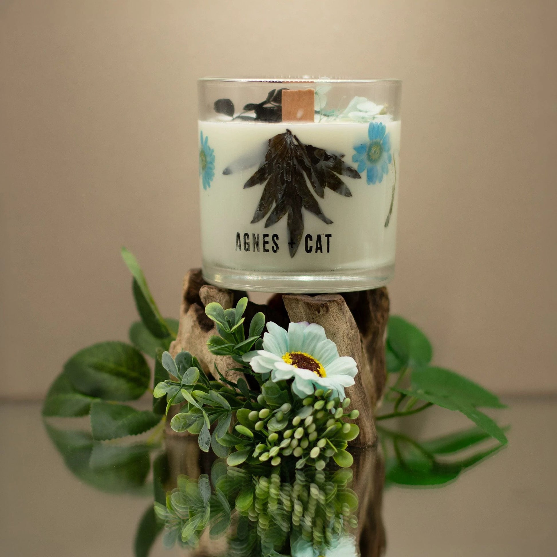 Agnes + Cat Botanical Soy Wax Candle - Seasalt & Moss by AW Dropship UK
