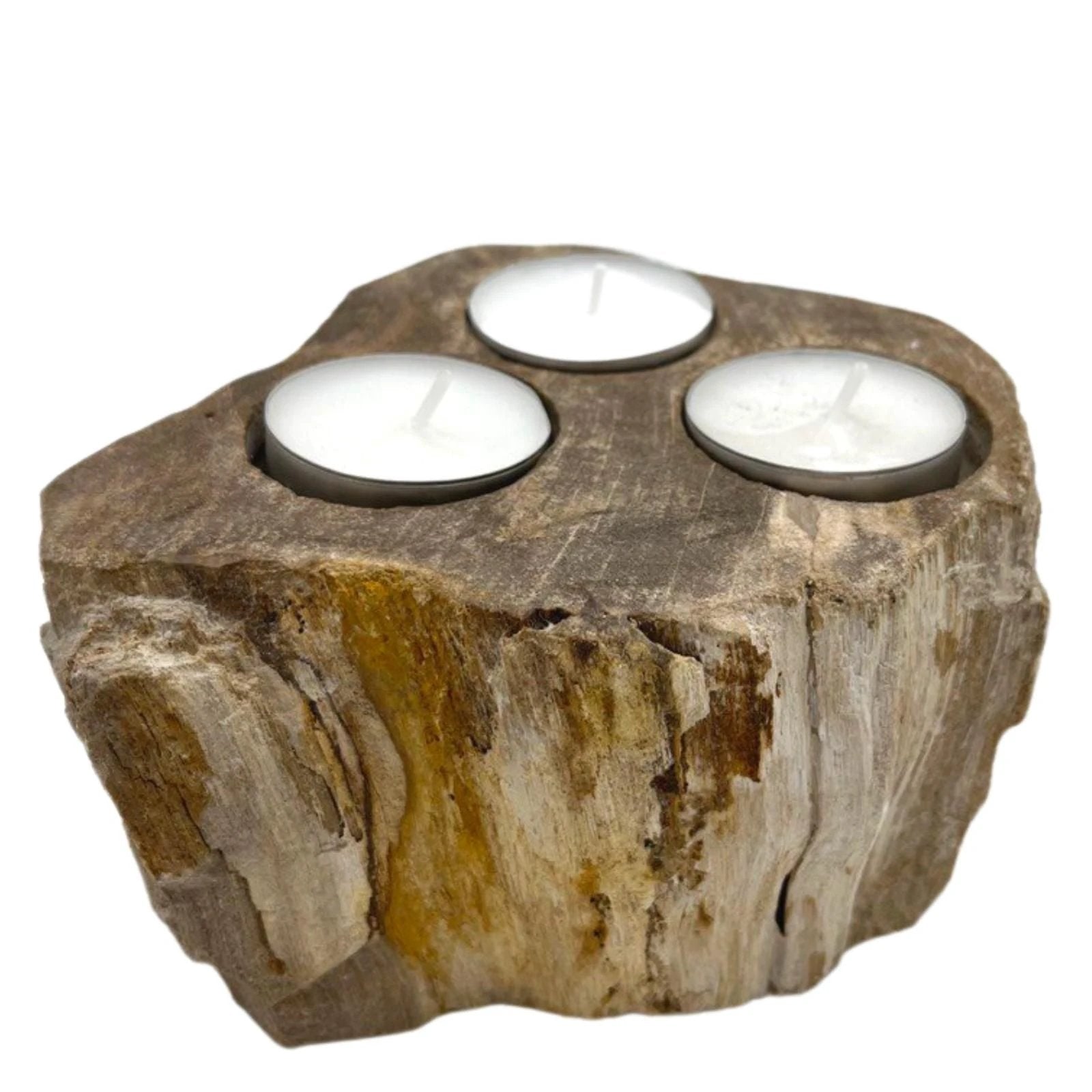 Petrified Wood Candle Holder - Triple by AW Dropship UK
