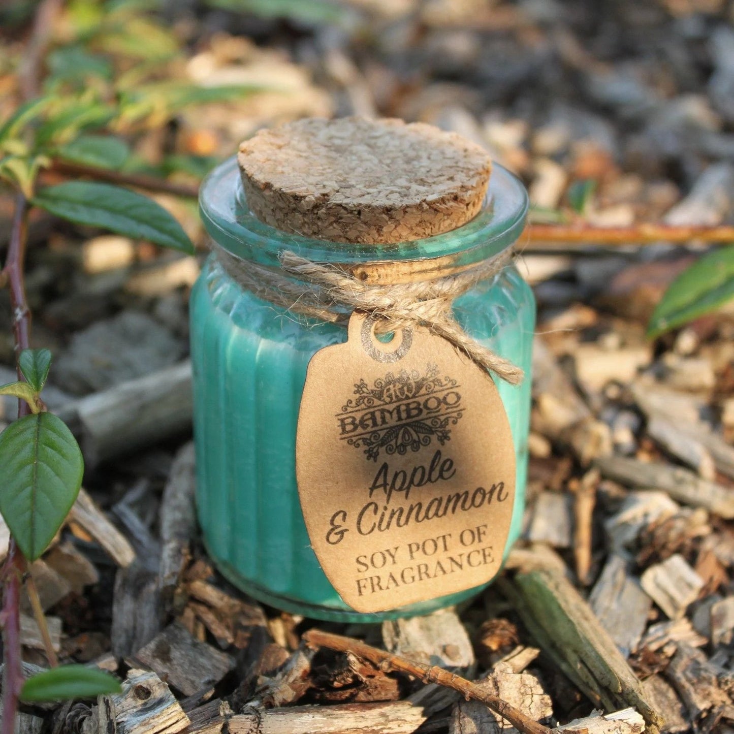 Apple & Cinnamon Soy Pot of Fragrance Candles by AW Dropship UK