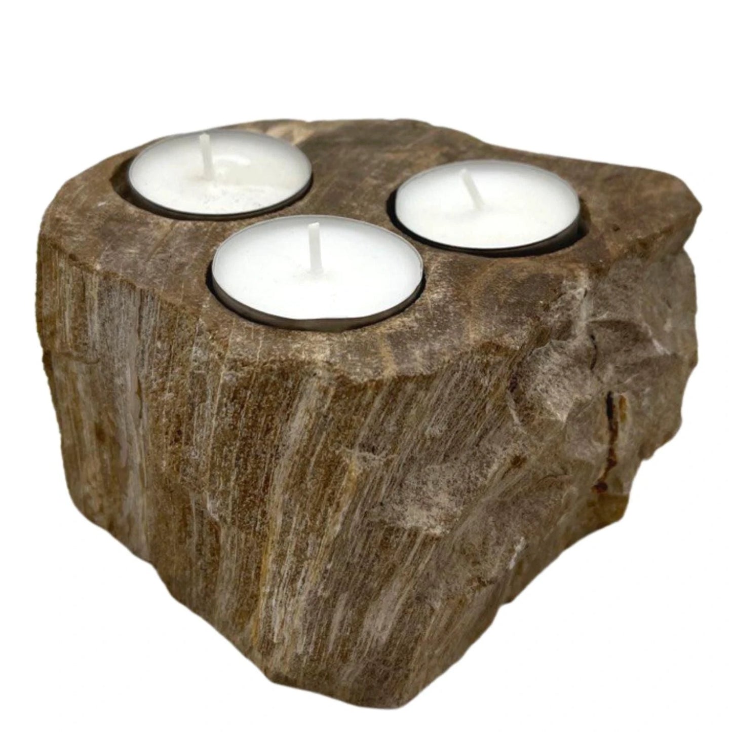 Petrified Wood Candle Holder - Triple by AW Dropship UK