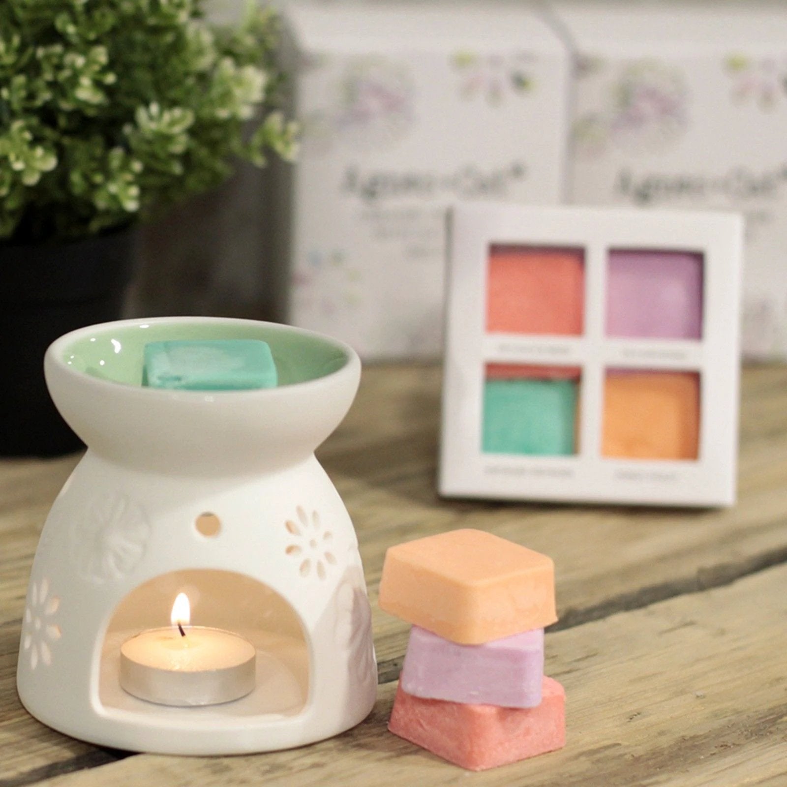 Wax Melter with Four Soy Wax Melts by AW Dropship UK