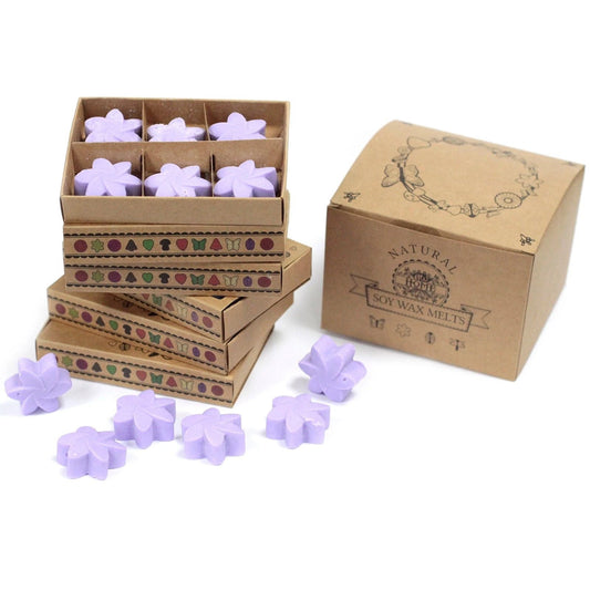 Box of 6 Wax Melts - Lavender Fields by AW Dropship UK