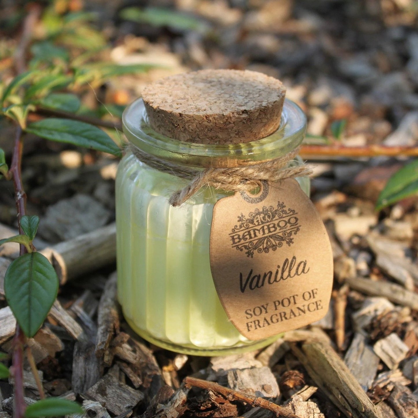 Vanilla Soy Pot of Fragrance Candles by AW Dropship UK