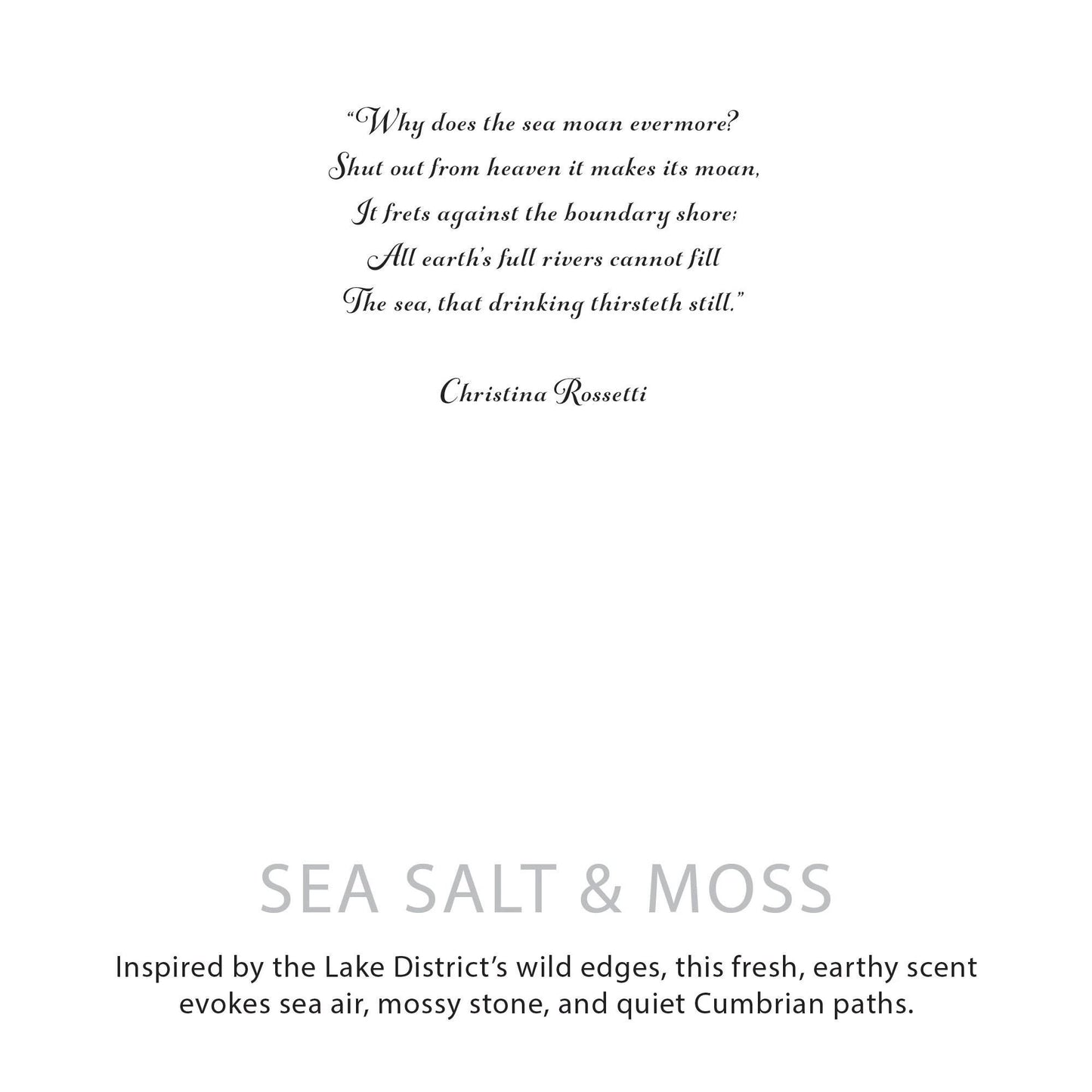 Agnes + Cat Botanical Soy Wax Candle - Seasalt & Moss by AW Dropship UK