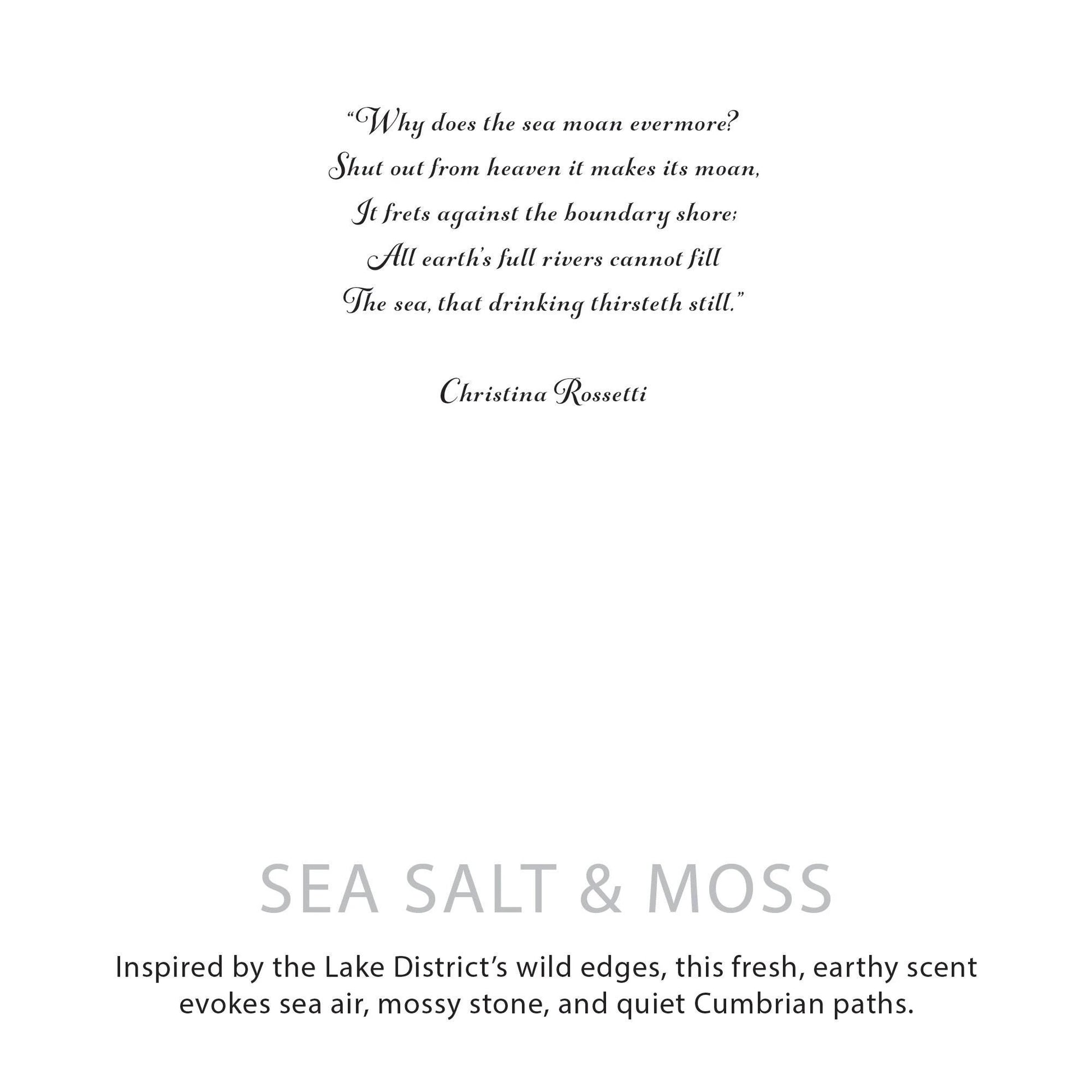 Agnes + Cat Botanical Soy Wax Candle - Seasalt & Moss by AW Dropship UK