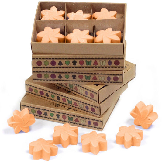 Box of 6 Wax Melts - Mango Fruits by AW Dropship UK