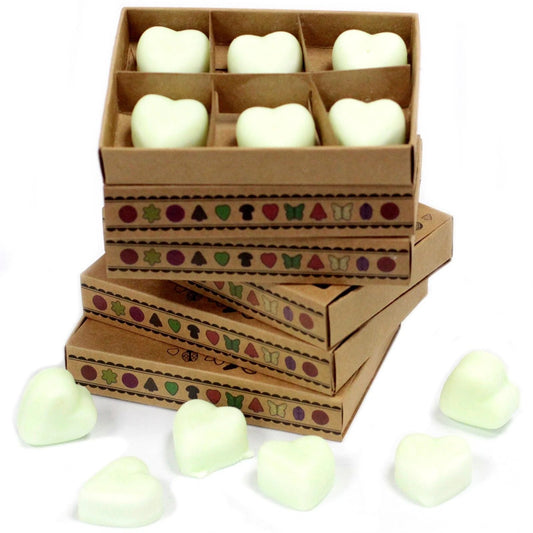 Box of 6 Wax Melts - Apple Spice by AW Dropship UK