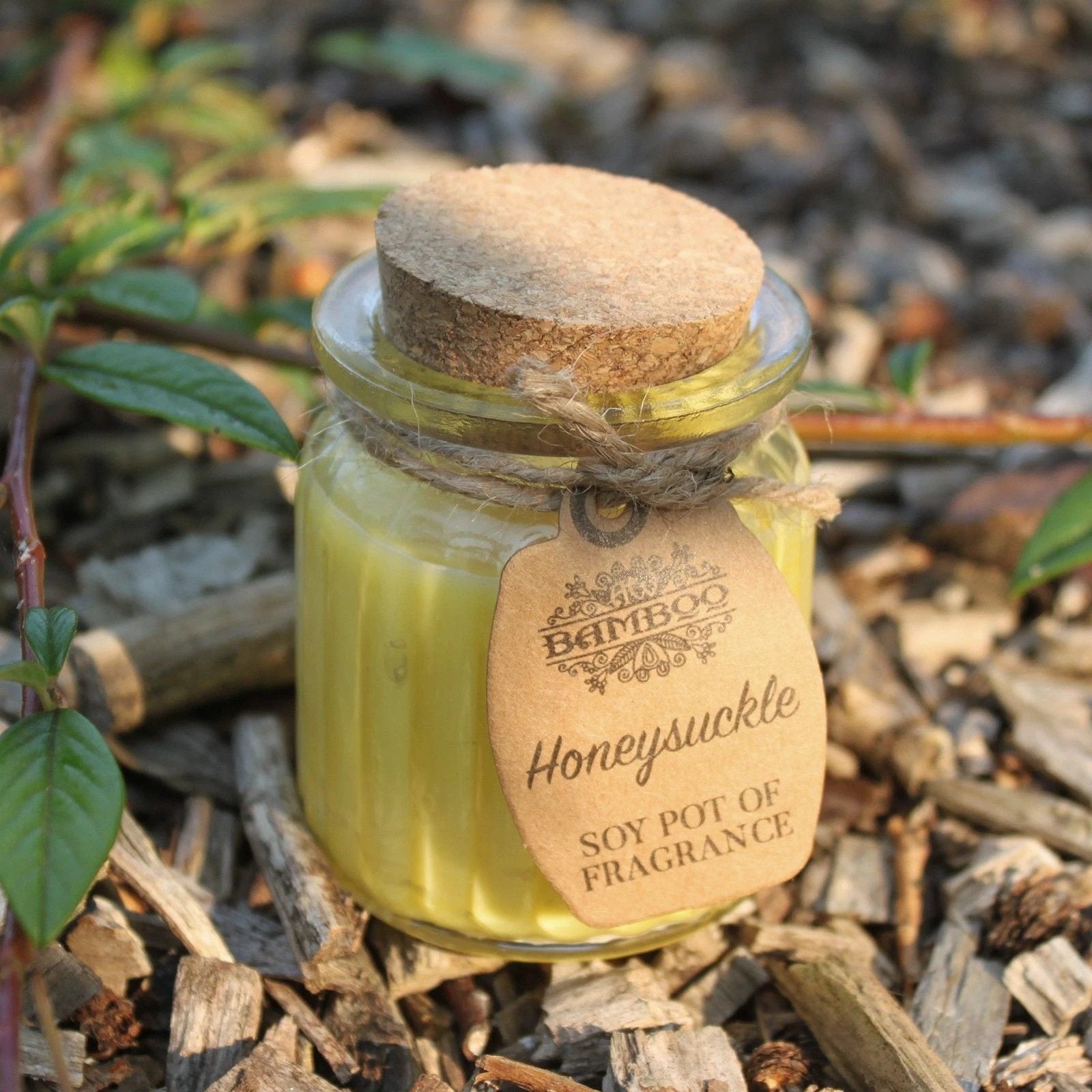 Honeysuckle Soy Pot of Fragrance Candles by AW Dropship UK