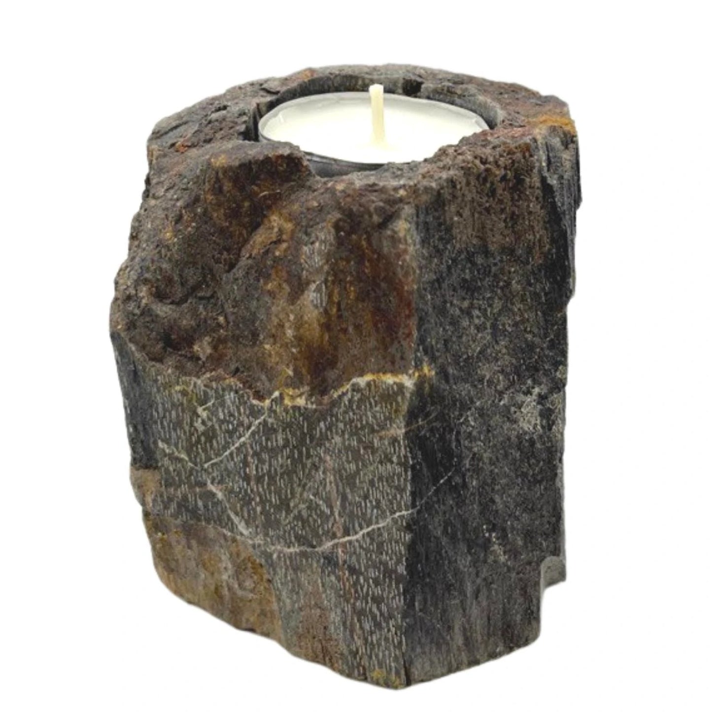 Petrified Wood Candle Holder - Single Low by AW Dropship UK