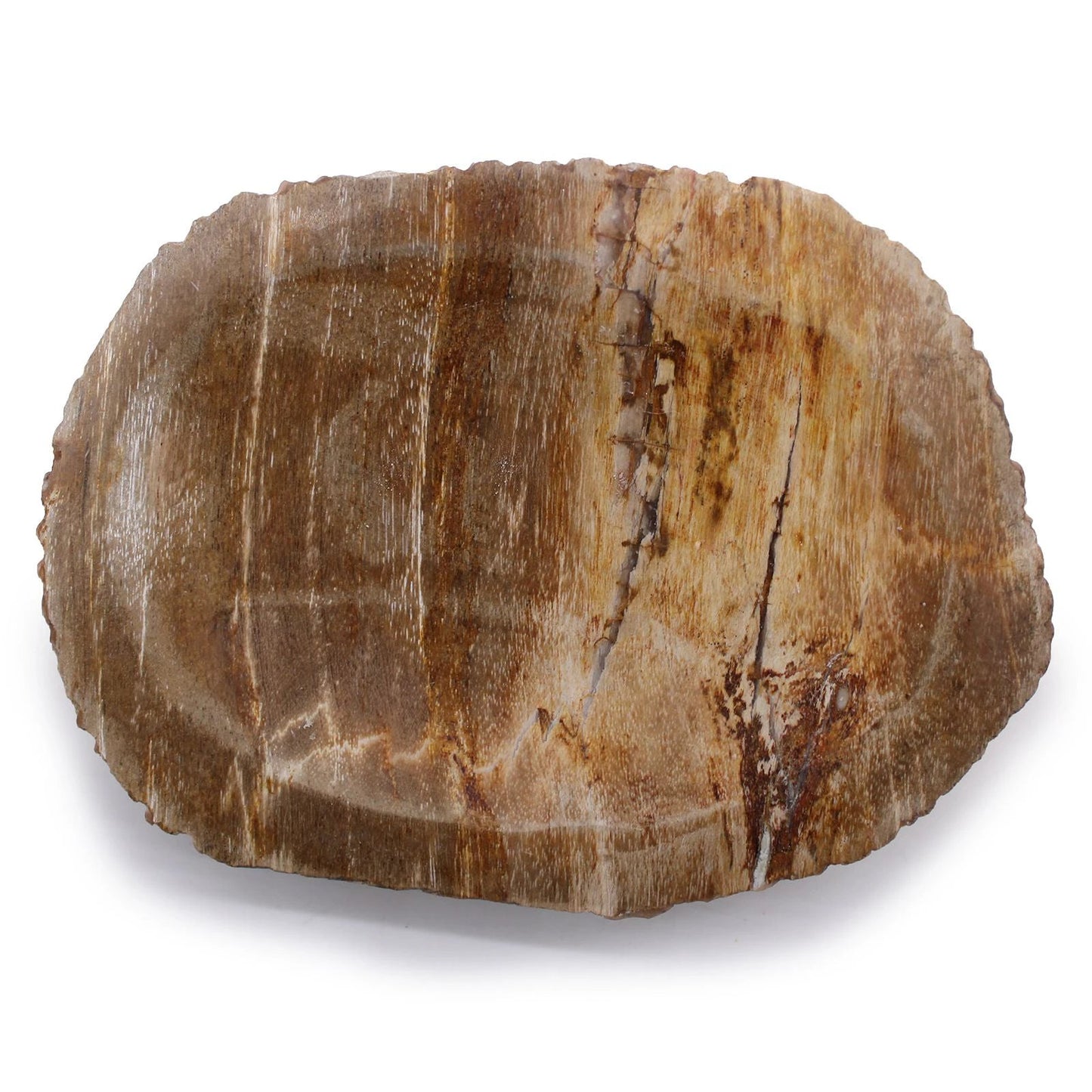Petrified Wood Brown Soap Dish by AW Dropship UK
