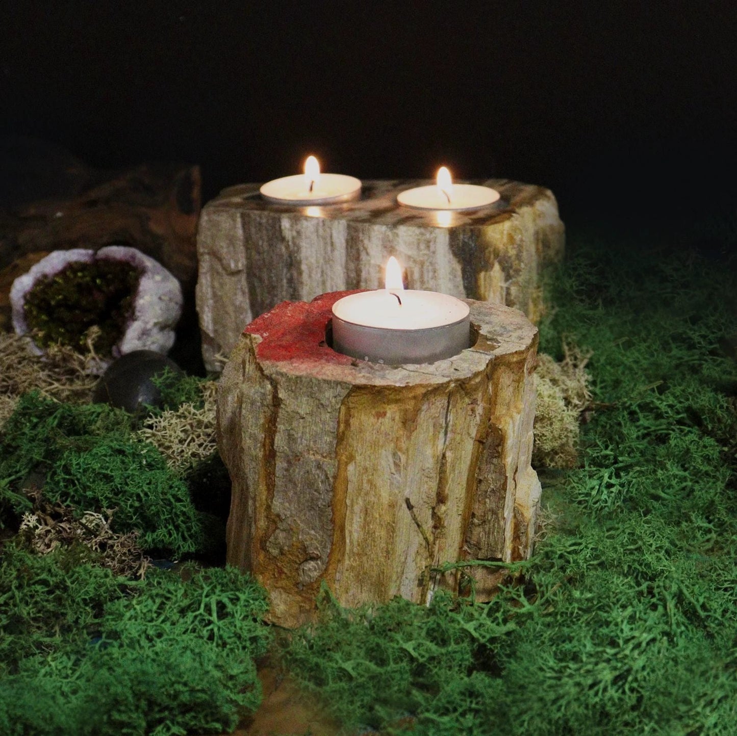 Petrified Wood Candle Holder - Double by AW Dropship UK