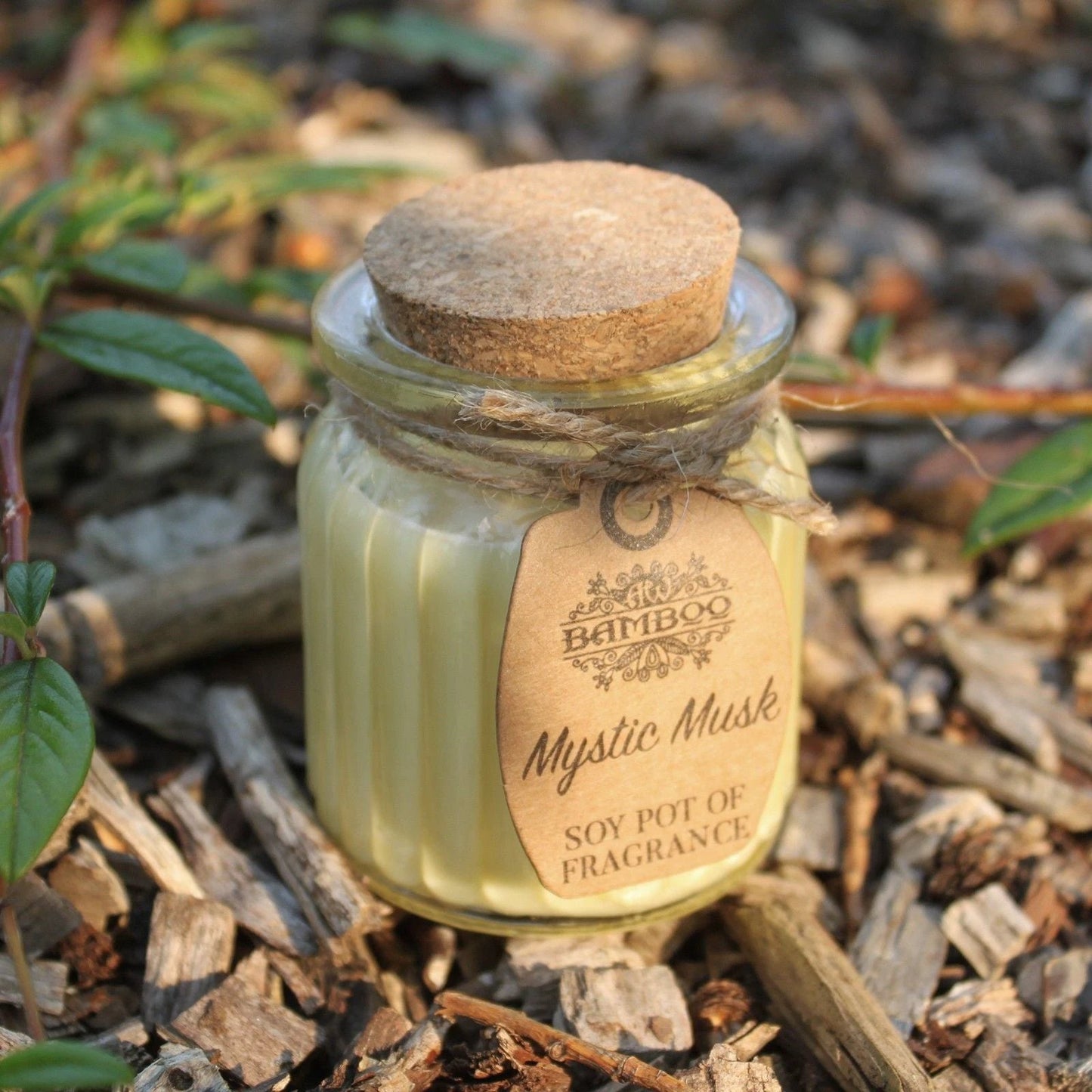 Mystic Musk Soy Pot of Fragrance Candles by AW Dropship UK