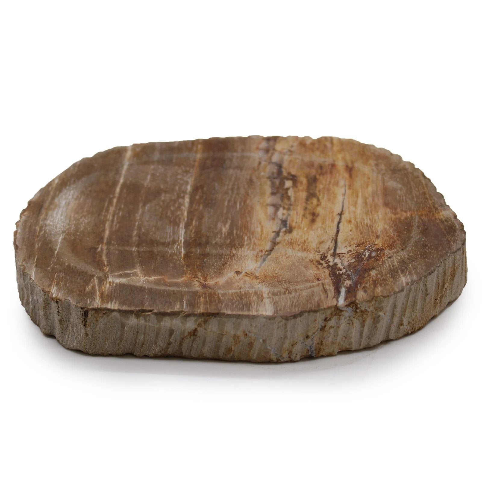 Petrified Wood Brown Soap Dish by AW Dropship UK