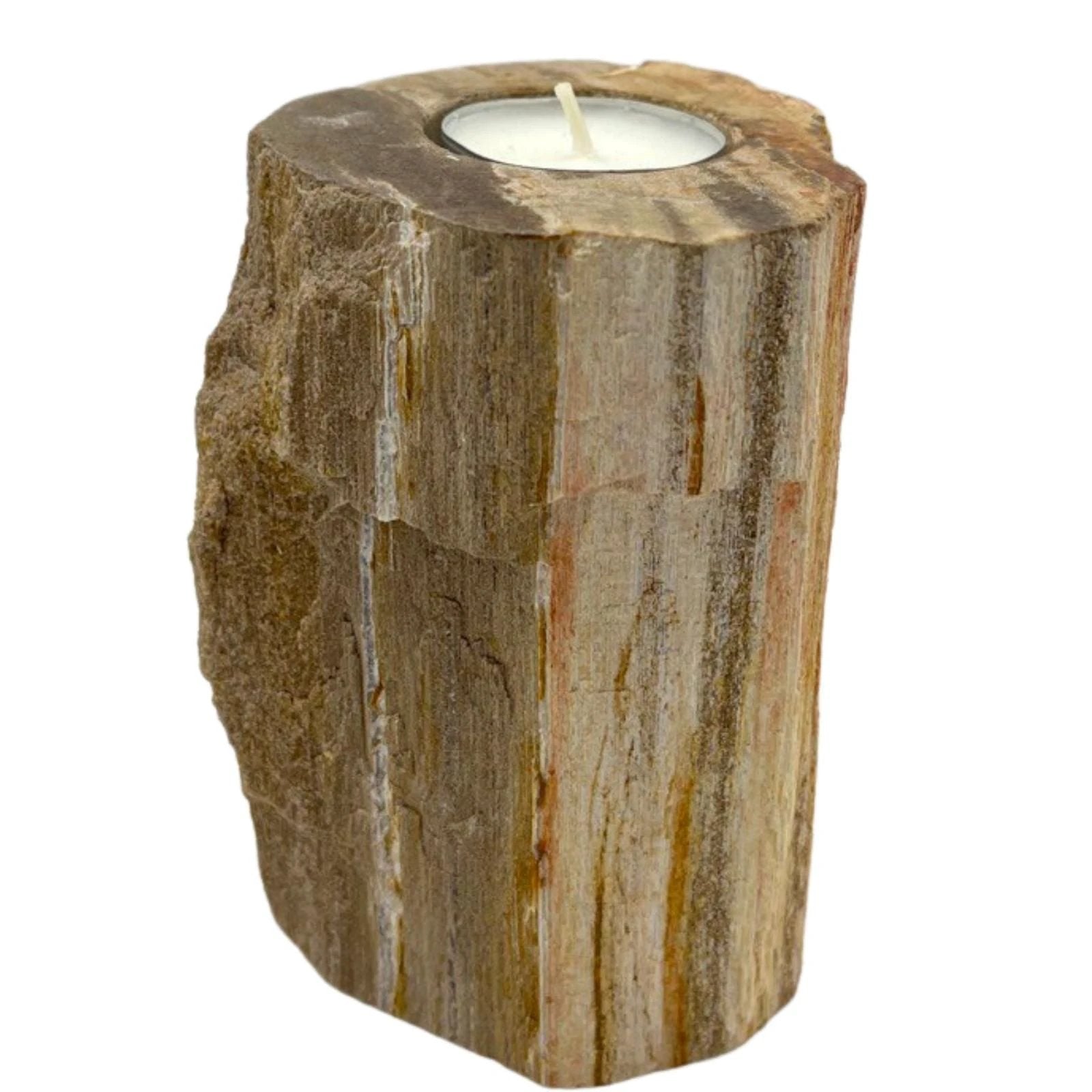 Petrified Wood Candle Holder - Single Tall by AW Dropship UK
