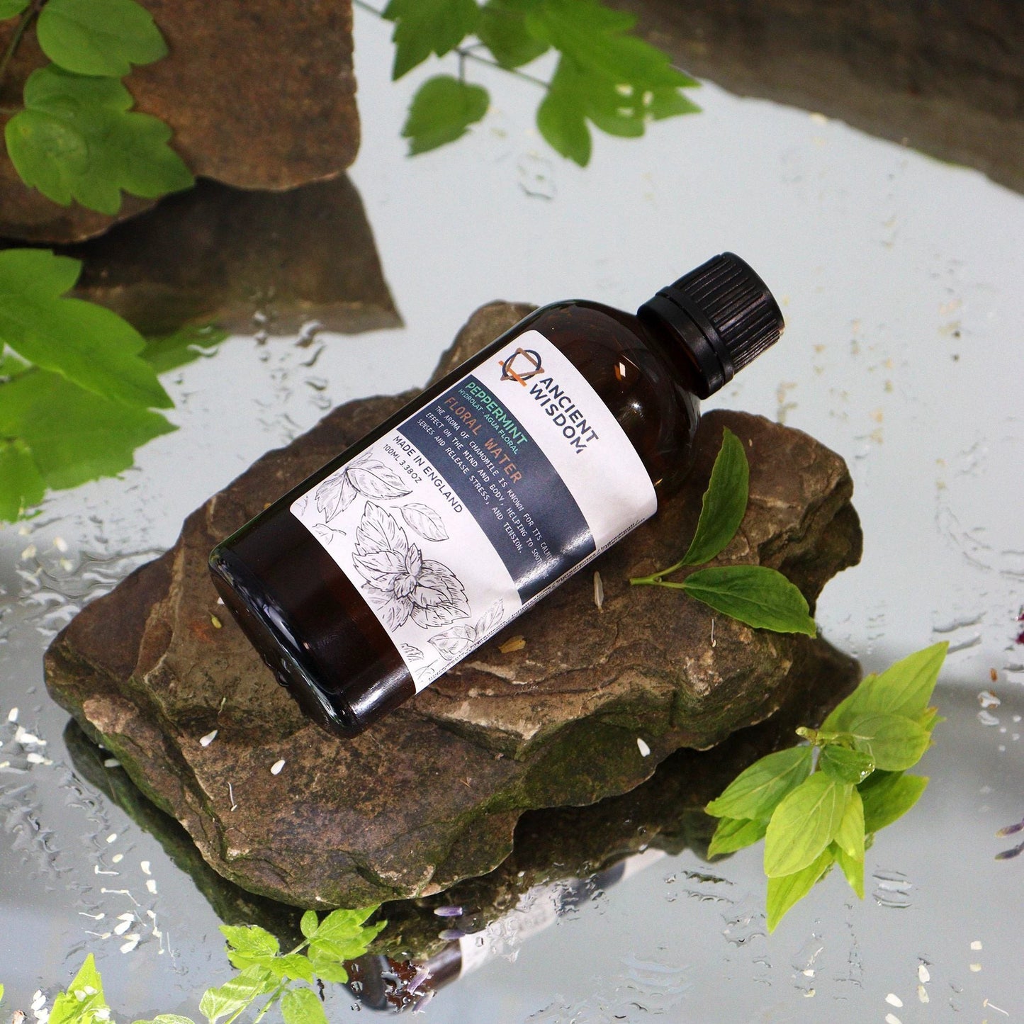 Peppermint Hydrolat 100ml by AW Dropship UK