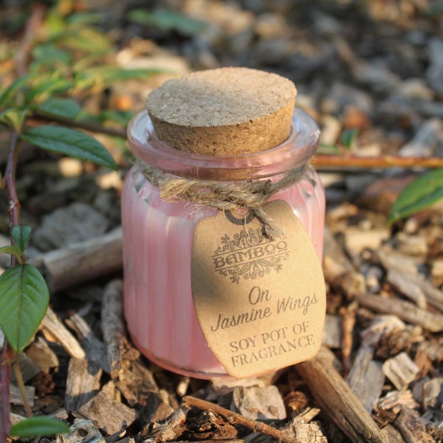 On Jasmine Wings Soy Pot of Fragrance Candles by AW Dropship UK