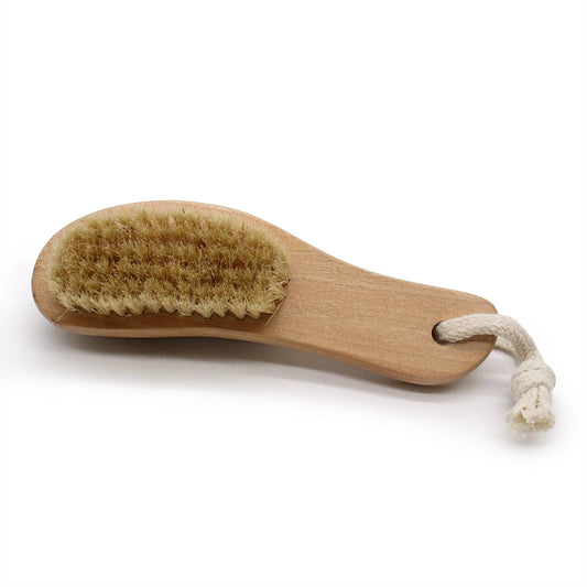 Pumice Backed Brush by AW Dropship UK