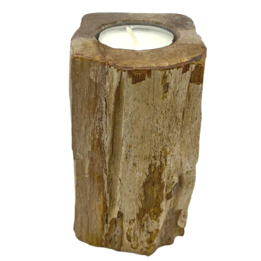 Petrified Wood Candle Holder - Single Tall by AW Dropship UK